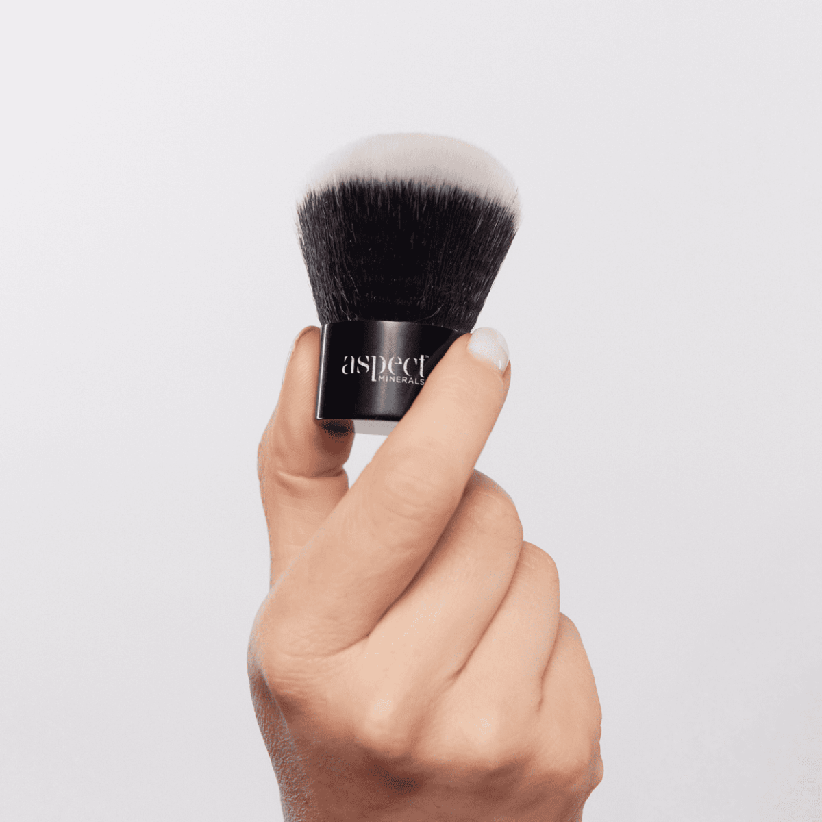 Kabuki Brush